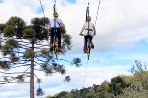 Olivas de Gramado / Divulgação