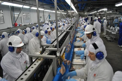 EMBARGADO - SAIRÁ EM 31/3 NO CAMPO E LAVOURA.Linha de produção de frigorífico no Rio Grande do Sul. Na foto, trabalhadores em ação na planta aves do frigorífico BRF em Marau.<!-- NICAID(11287700) -->