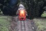 Onde estão os 1,5 mil km da ferrovia gaúcha que desapareceram 