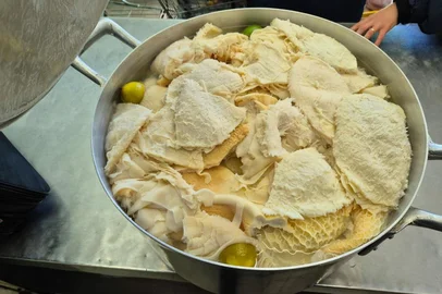 Uma ação de fiscalização apreendeu 1,7 tonelada de produtos impróprios para consumo em dois mercados de Antônio Prado, nesta terça-feira (12). Houve a interdição do açougue, da padaria e da fiambreria de um dos estabelecimento e do açougue de outro por falta de higiene.<!-- NICAID(16100301) -->
