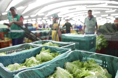 Porto Alegre, RS, Brasil - Preço dos alimentos na Ceasa. Como as cheias estão influenciando no preço dos alimentos e como os produtores rurais estão reorganizando a sua produção na Ceasa. Fotos: Jefferson Botega/Agência RBS<!-- NICAID(15571144) -->