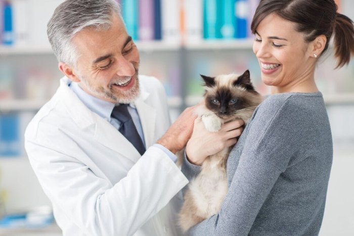 Stokkete / Shutterstock | Portal EdiCase Stokkete / Shutterstock | Portal EdiCase