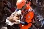 Gato soterrado é achado com vida nove dias depois  de enxurrada em Petrópolis, Estado do Rio de Janeiro