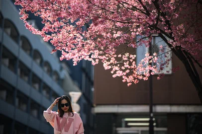 A woman poses with cherry blossom trees in the Chuo district of Tokyo on March 18, 2025. (Photo by Philip FONG / AFP)Editoria: LIFLocal: TokyoIndexador: PHILIP FONGSecao: leisure (general)Fonte: AFPFotógrafo: STF<!-- NICAID(16003185) -->