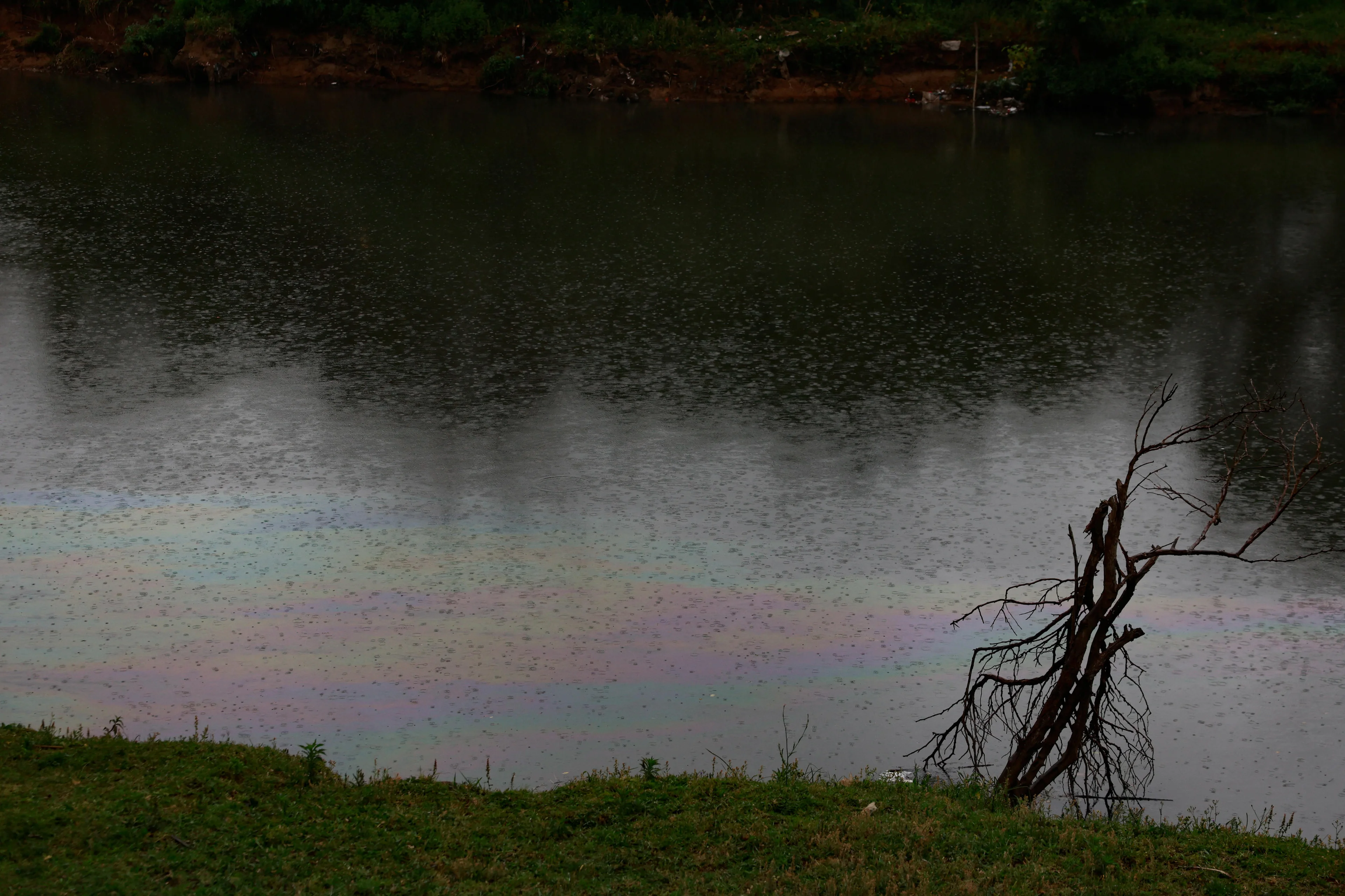 André Ávila/Agencia RBS