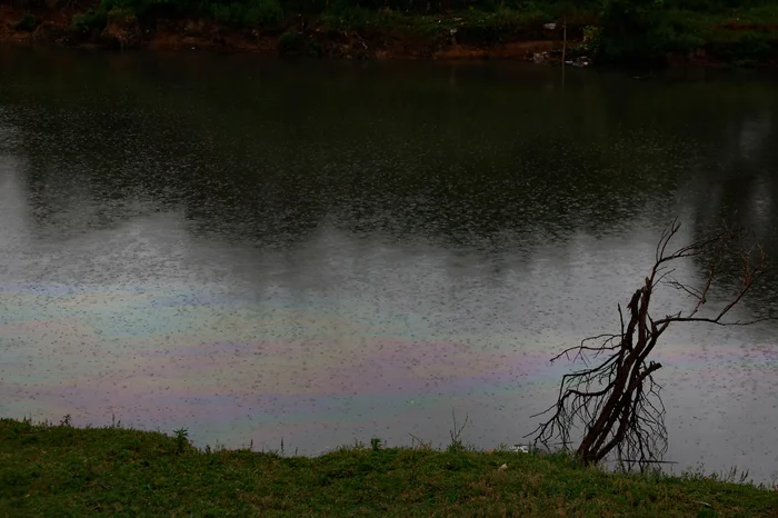 André Ávila / Agencia RBS