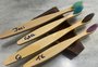 Consumidor verde: escovas de dente de bambu para reduzir o uso de plástico