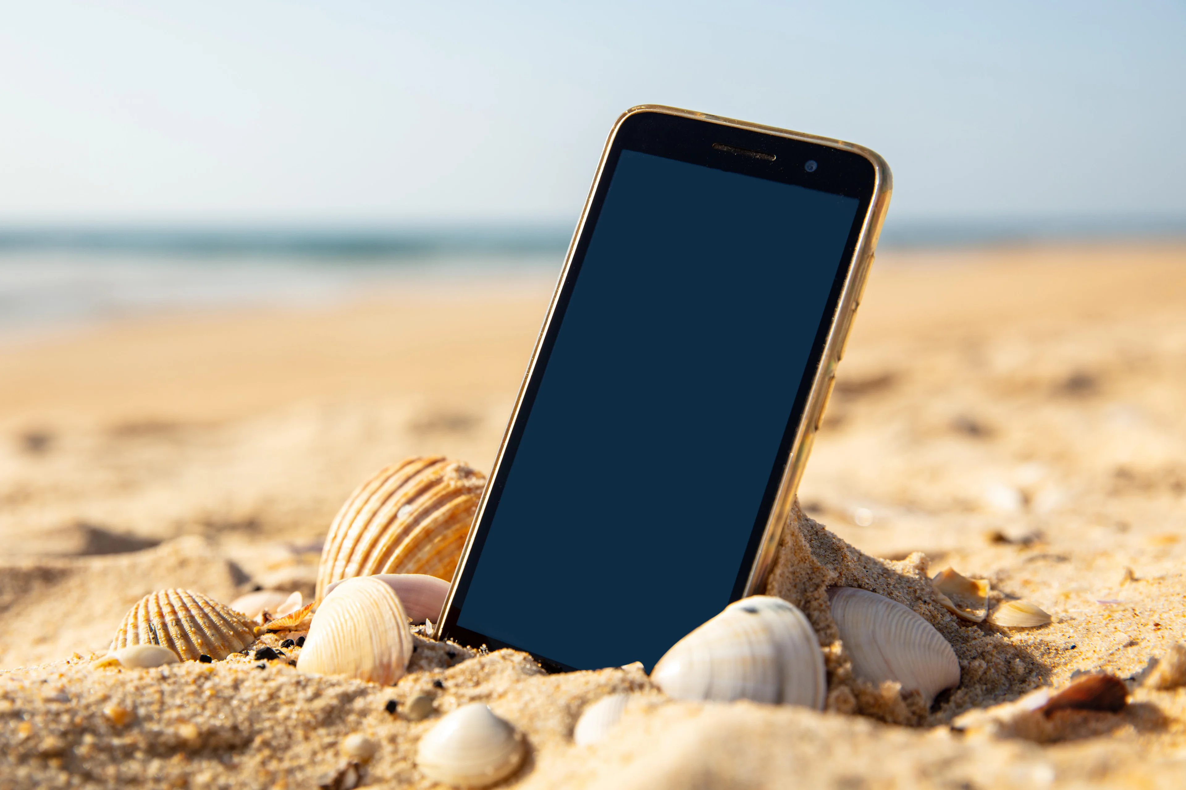 M.studio/adobe.stock.com