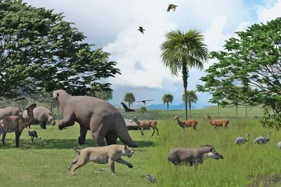 Extinção de megafauna há 10 mil anos reorganizou ecossistemas terrestres, indica estudo - Foto: Julio Lacerda/Arquivo Pesquisador/Agência Bori<!-- NICAID(15623328) -->