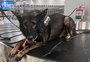 Aeroporto Salgado Filho terá operação permanente com cães farejadores
