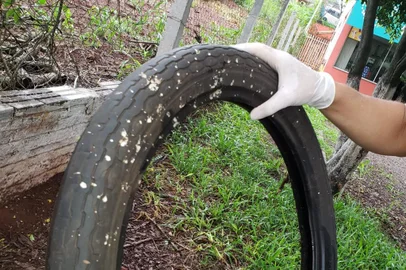 Após surto de dengue, mutirão contra focos do mosquito reúne cerca de 100 voluntários em Rodeio Bonito<!-- NICAID(15045983) -->