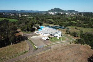 Languiru / Reprodução Site