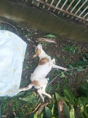 arquivo pessoal / Arquivo pessoal arquivo pessoal / Arquivo pessoal