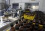 Redução de tarifas dos EUA ainda não chegou a exportadores gaúchos