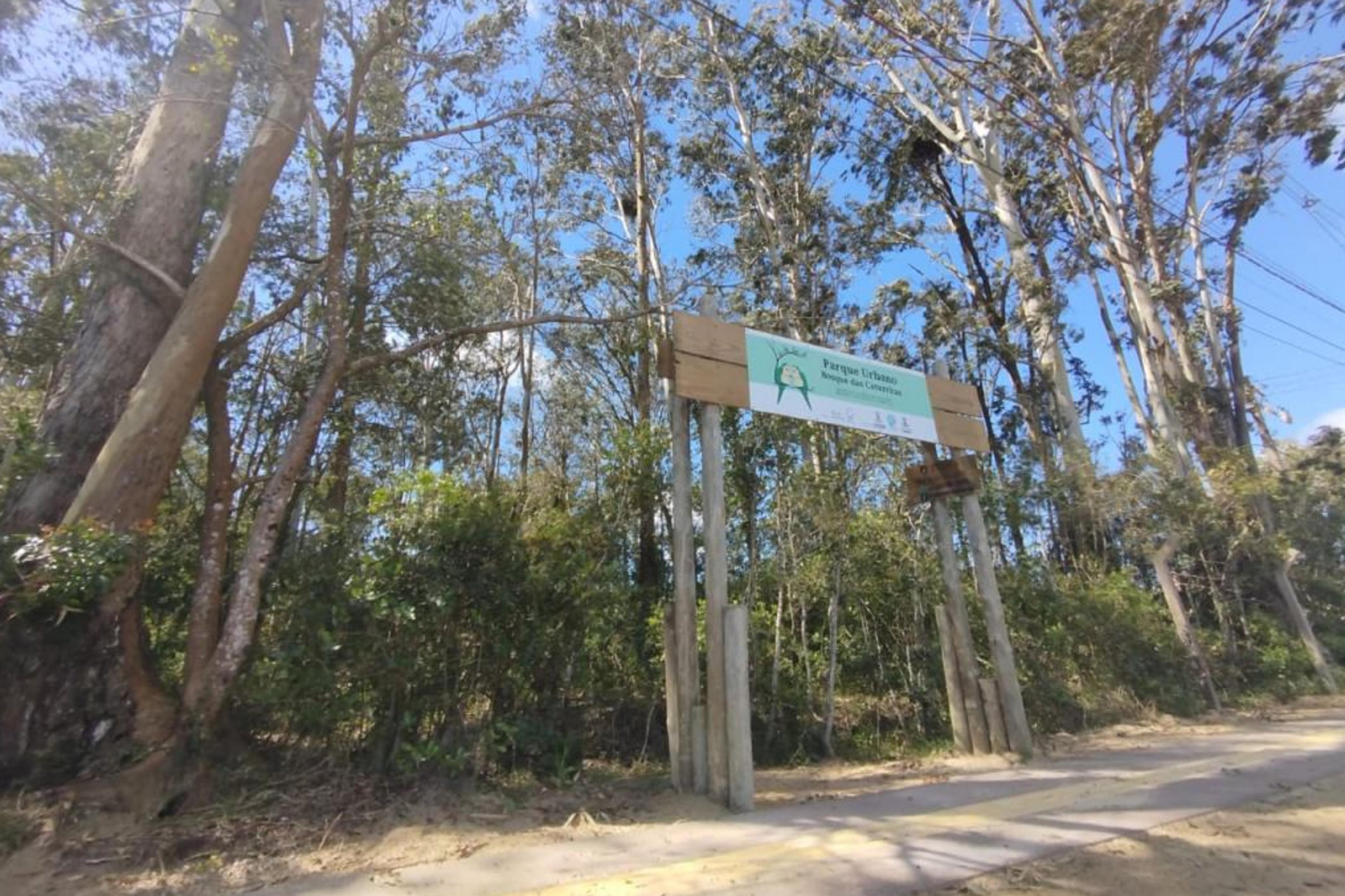 Ap&oacute;s mapear mais de 8 mil &aacute;rvores, Rio Grande conquista certifica&ccedil;&atilde;o internacional