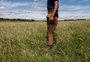 Pampa do RS tem alta biodiversidade, mas enfrenta risco crescente