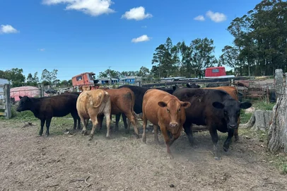 Rio Grande<!-- NICAID(16159738) -->