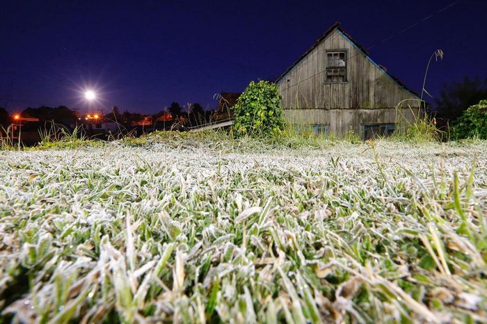 Lauro Alves / Agencia RBS