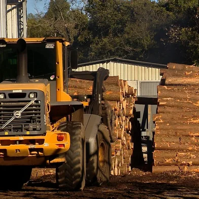 Tarifaço dos EUA faz setor madeireiro da Serra frear contratações e aguardar negociação entre governos<!-- NICAID(16328596) -->