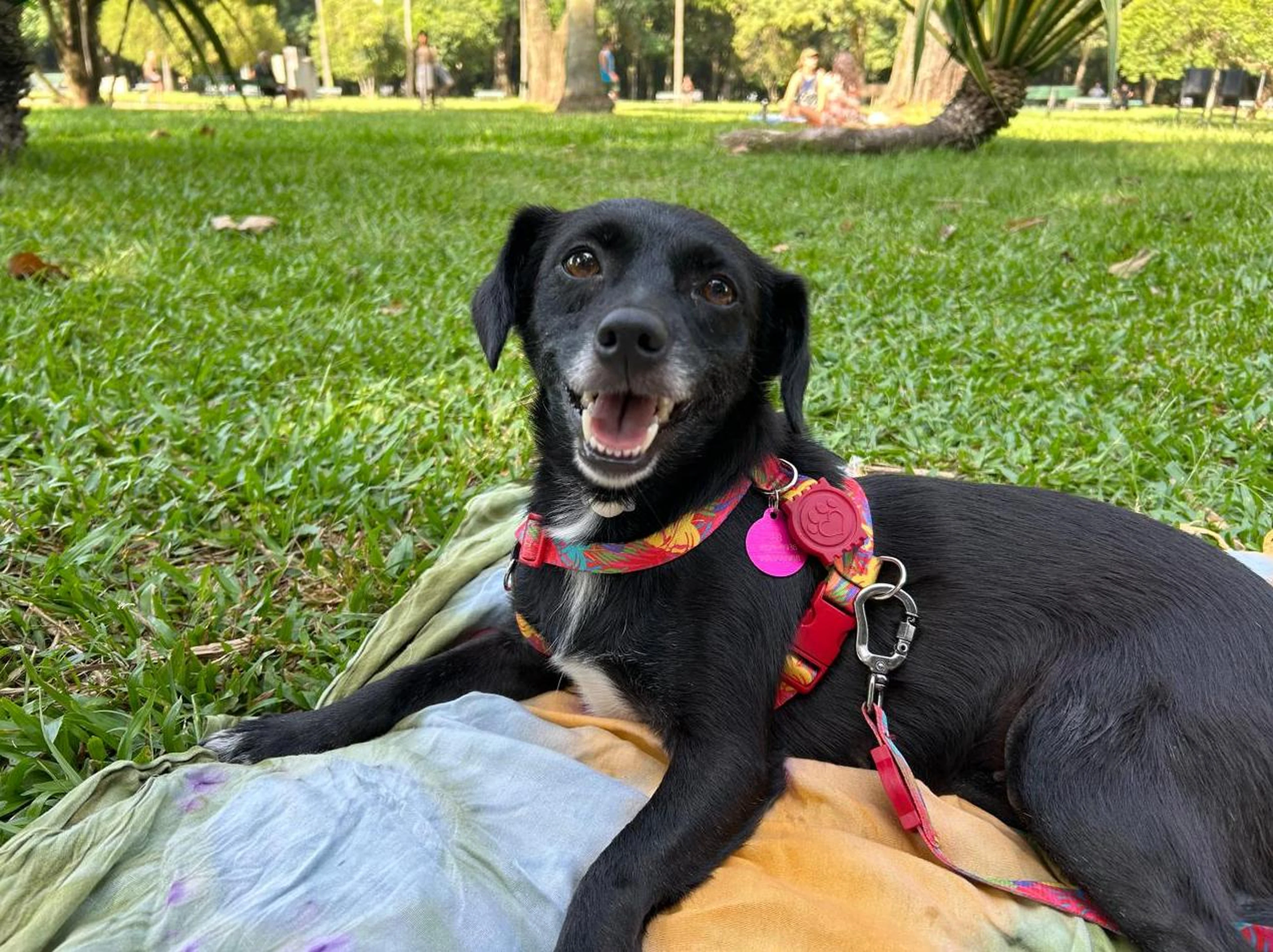 Ana Paula Matzenbacher/Arquivo pessoal