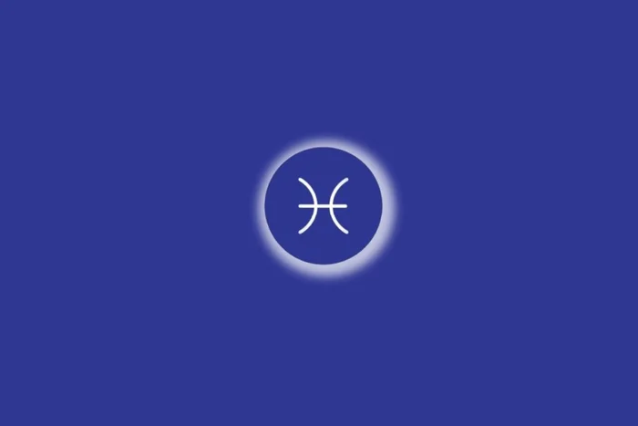 MiSO Studio / Shutterstock | Portal EdiCase MiSO Studio / Shutterstock | Portal EdiCase