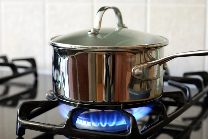 Reprodução / adobe.stock.com