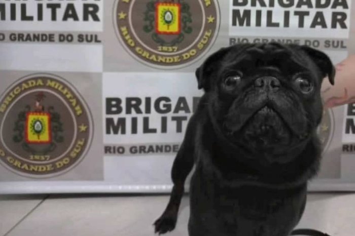 Divulgação / Brigada Militar