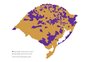 Censo 2022: em mapa, consulte a população masculina e feminina do seu município 