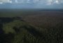 Um terço da Amazônia pode ter sido degradado pela atividade humana e pela seca, diz estudo