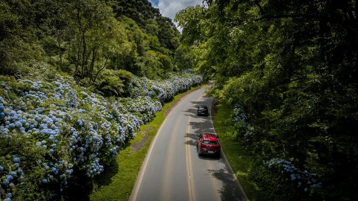 Prefeitura de Gramado / Divulgação
