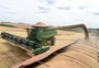Trigo foi a salvação das exportações gaúchas do agro neste ano