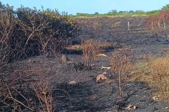 Divulgação / Guarda Municipal de São José do Norte Divulgação / Guarda Municipal de São José do Norte