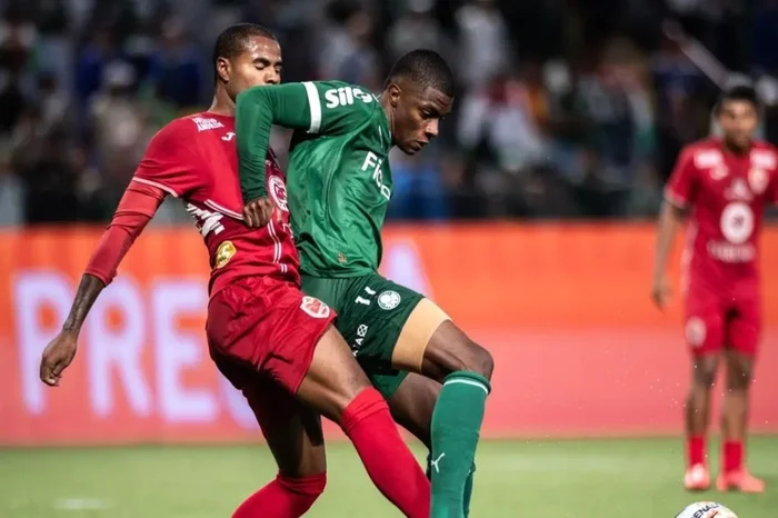 Guilherme Veiga / Divulgação/Palmeiras Guilherme Veiga / Divulgação/Palmeiras