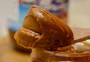 Cooperativa do sul do Estado lança doce de leite sem açúcar, lactose e glúten na Expointer