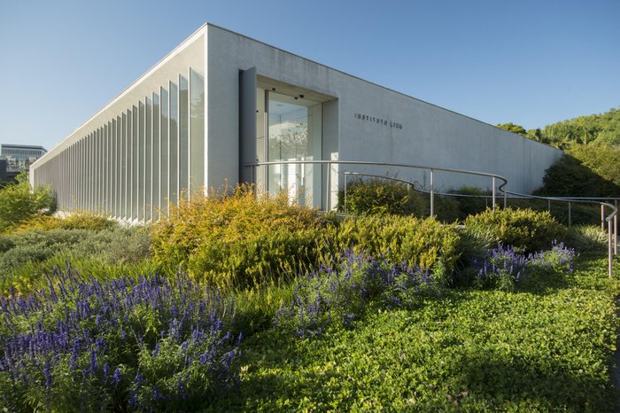 Carlos Stein / Divulgação