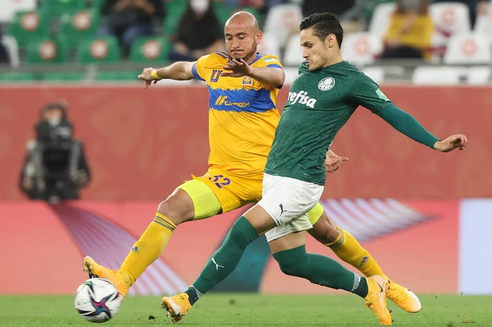O reflexo da derrota do Palmeiras para a final da Copa do Brasil contra ...