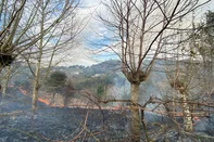 Incêndio atinge quatro hectares de área no Vale dos Vinhedos, em Bento Gonçalves<!-- NICAID(16093283) -->