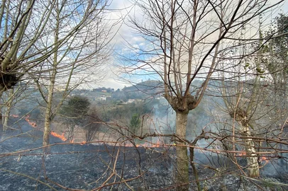 Incêndio atinge quatro hectares de área no Vale dos Vinhedos, em Bento Gonçalves<!-- NICAID(16093283) -->