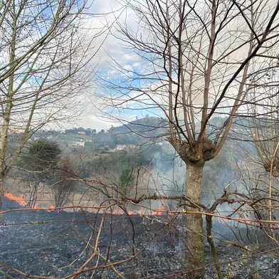 Incêndio atinge quatro hectares de área no Vale dos Vinhedos, em Bento Gonçalves<!-- NICAID(16093283) -->