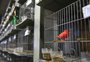 Expointer tem 3,48 mil animais inscritos; entenda a razão para o número quase 32% menor