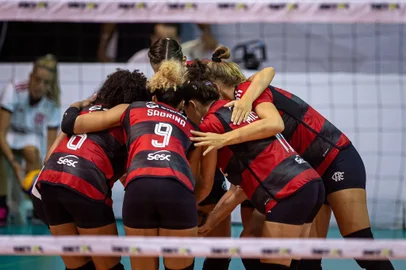 Sesc RJ Flamengo, vôlei
