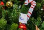 Cartinhas de Natal das crianças acolhidas pela FAS, de Caxias, podem ser retiradas a partir desta quinta-feira