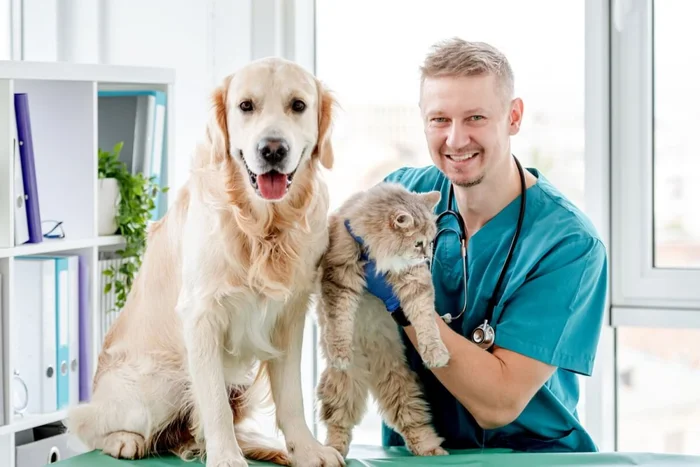 T.Vyc / Shutterstock | Portal EdiCase T.Vyc / Shutterstock | Portal EdiCase