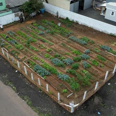 Projeto Do Lixo ao Luxo - Hortas urbanas em Sapucaia do Sul<!-- NICAID(15741999) -->