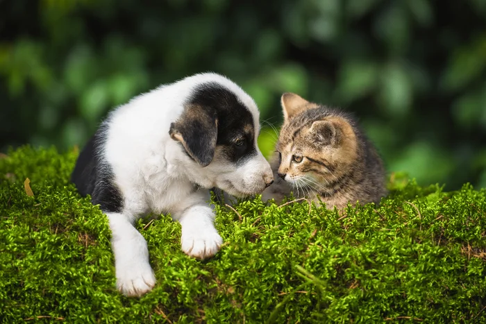 Rita_Kochmarjova / Shutterstock | Portal EdiCase Rita_Kochmarjova / Shutterstock | Portal EdiCase