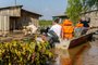 animais são resgatados de enchente em Canoas<!-- NICAID(15606153) -->
