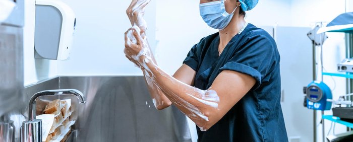 MedicalWorks / stock.adobe.com