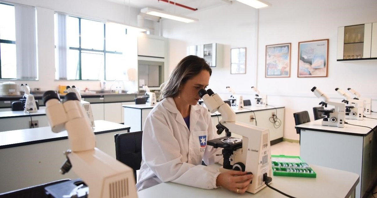 Universidade de Caxias do Sul está entre as mais inovadoras do Brasil GZH