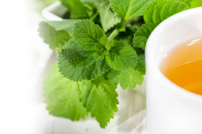 purple sage plant and tea on table and white background, Lippia AlbaFonte: 543263441<!-- NICAID(15577829) -->
