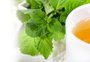 Chá de salvia-da-gripe: para que serve, benefícios e como fazer